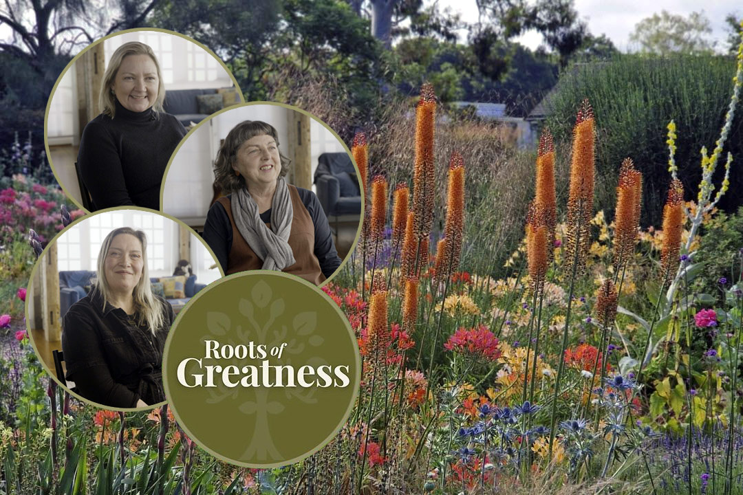 Roots of Greatness