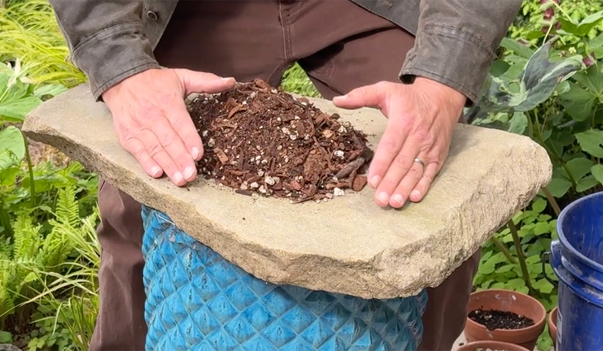 chunky soil mix for fern table