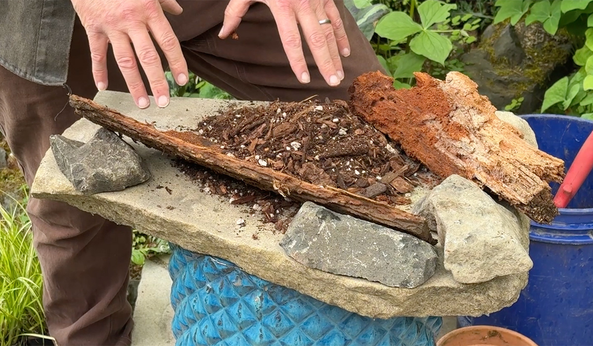 fern table edging