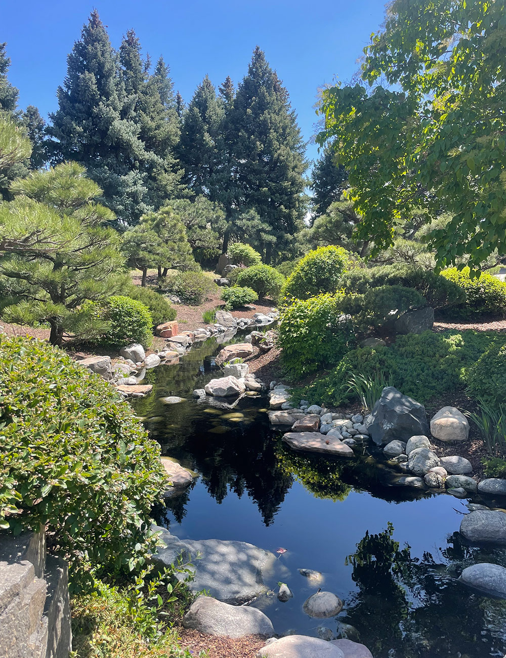 pond in Japanese garden