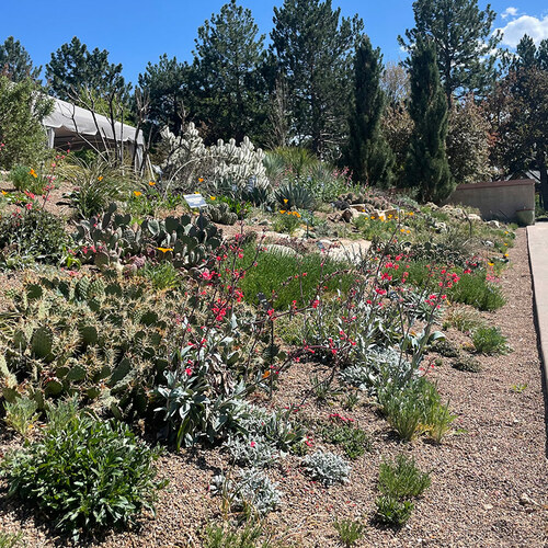 GPOD on the Road: Denver Botanic Garden in Spring - Fine Gardening