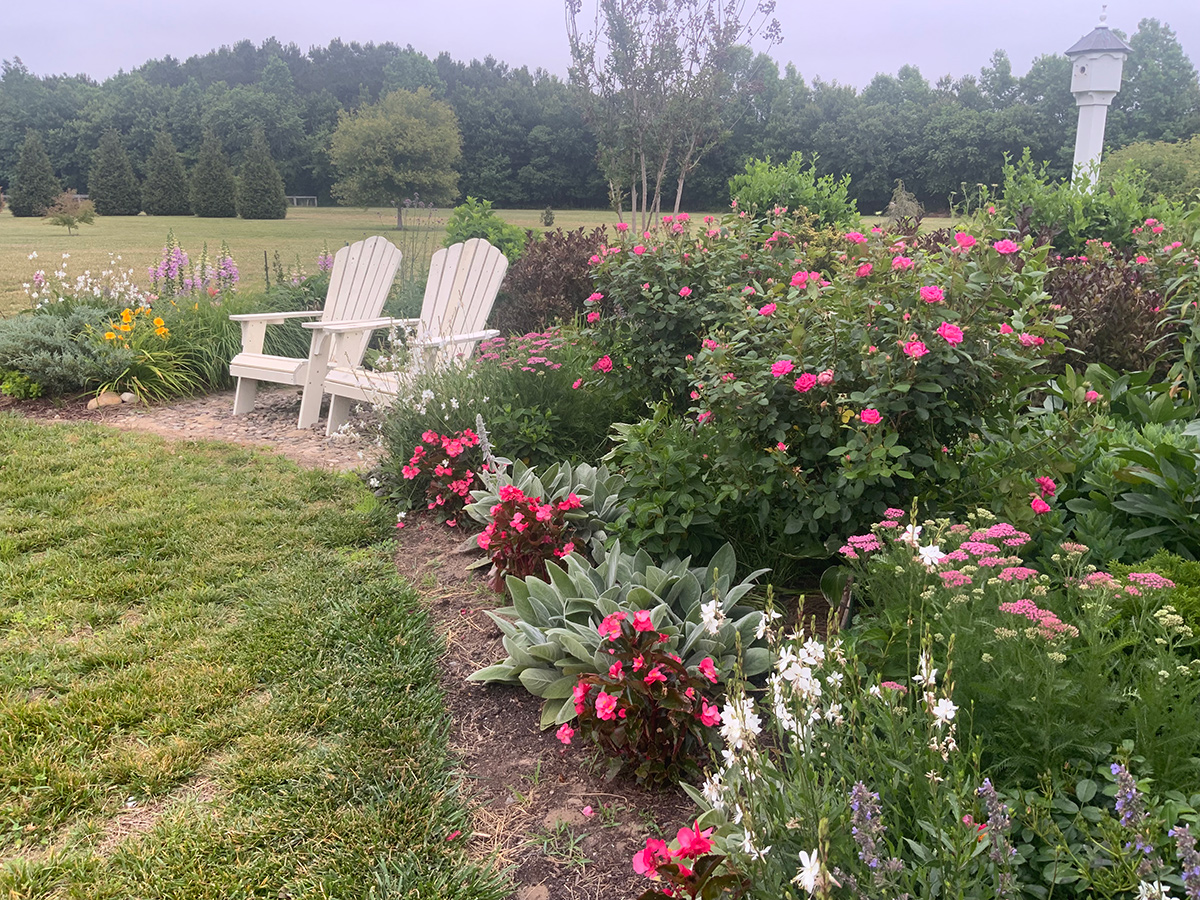 spring garden with bright pink flowers