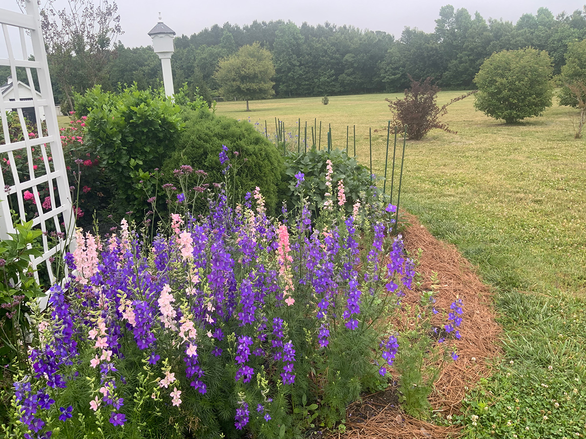 Cutting garden