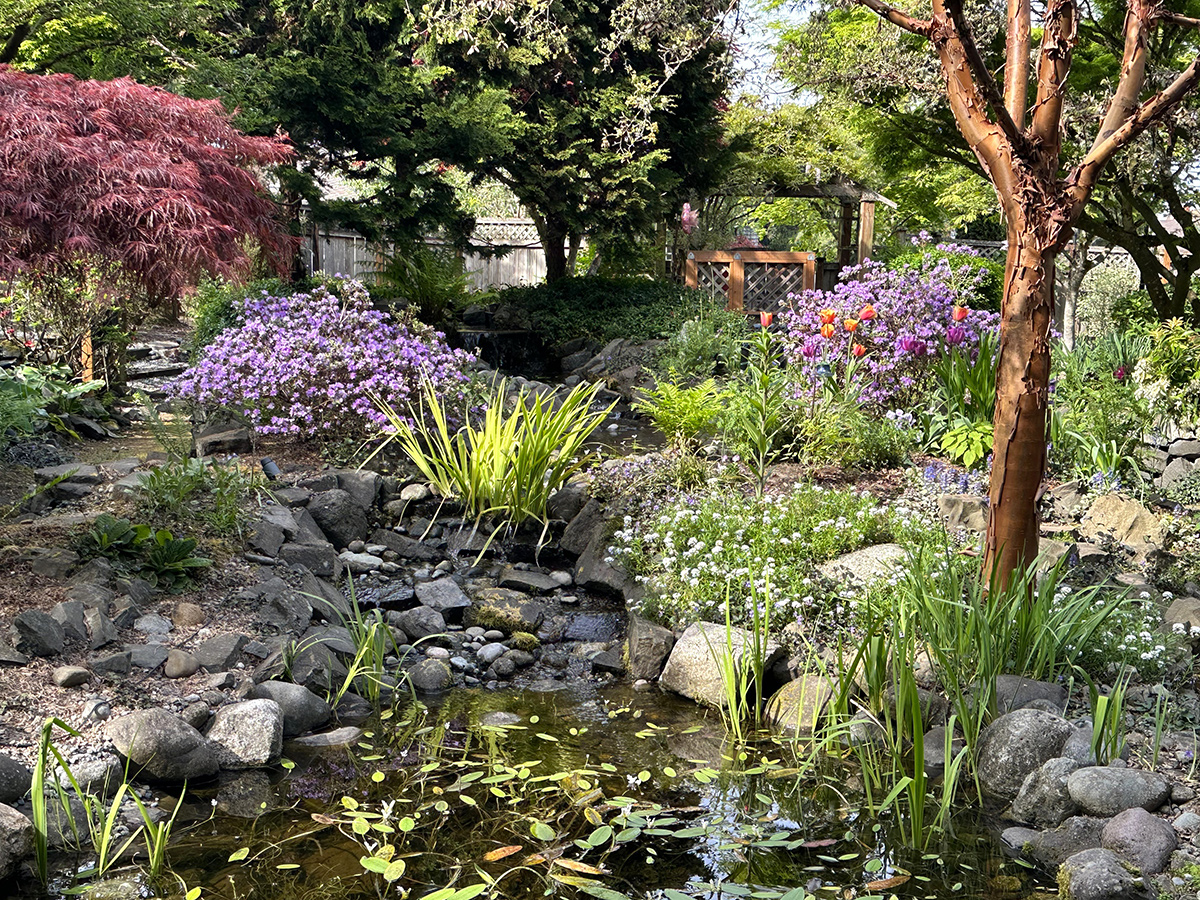 large garden pond