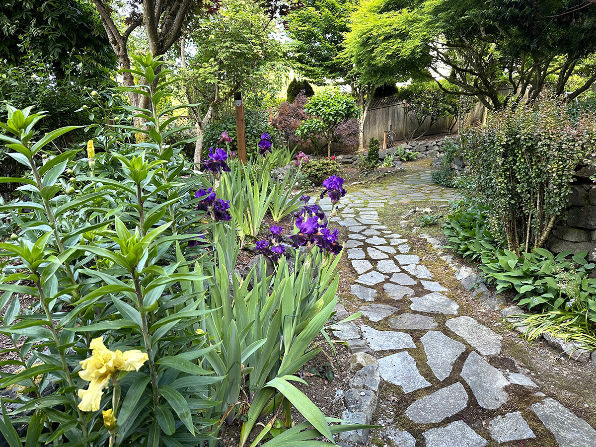 back garden path