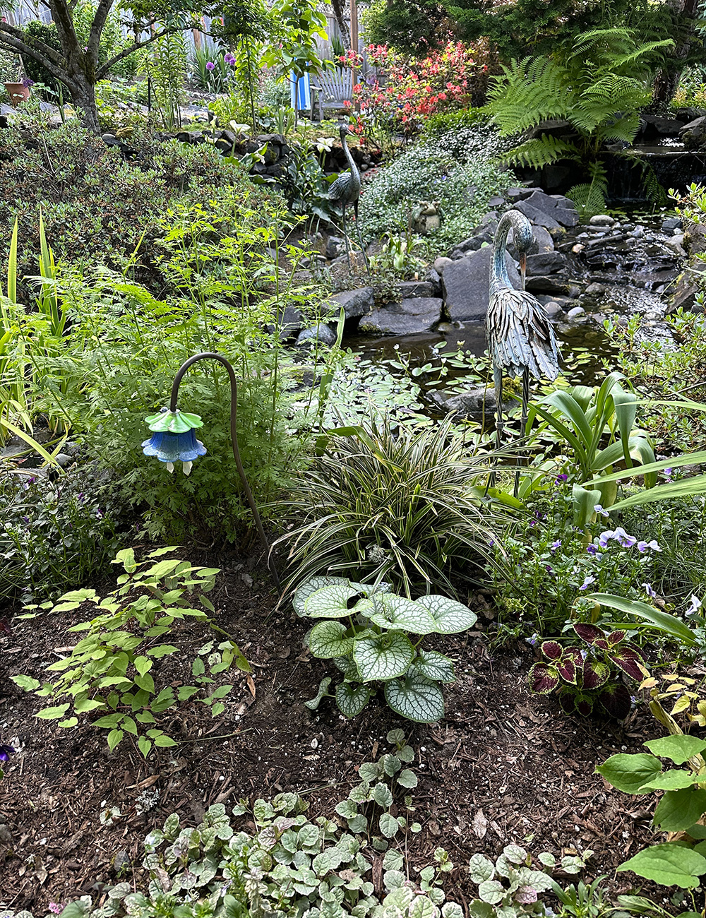 garden pond in the shade