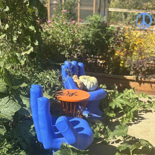 Growing More Than a School Garden – Fine Gardening