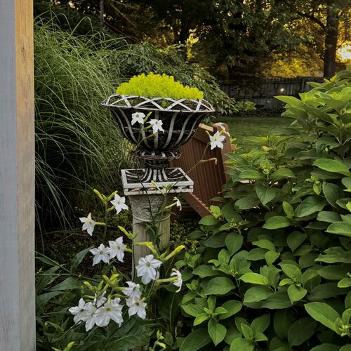 Suzannah's Quintessential Midwest Garden - Fine Gardening