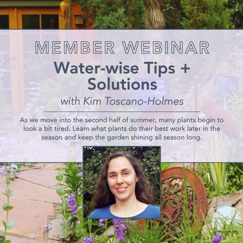 Water-Wise Gardening Webinar: Tips and Solutions - Fine Gardening