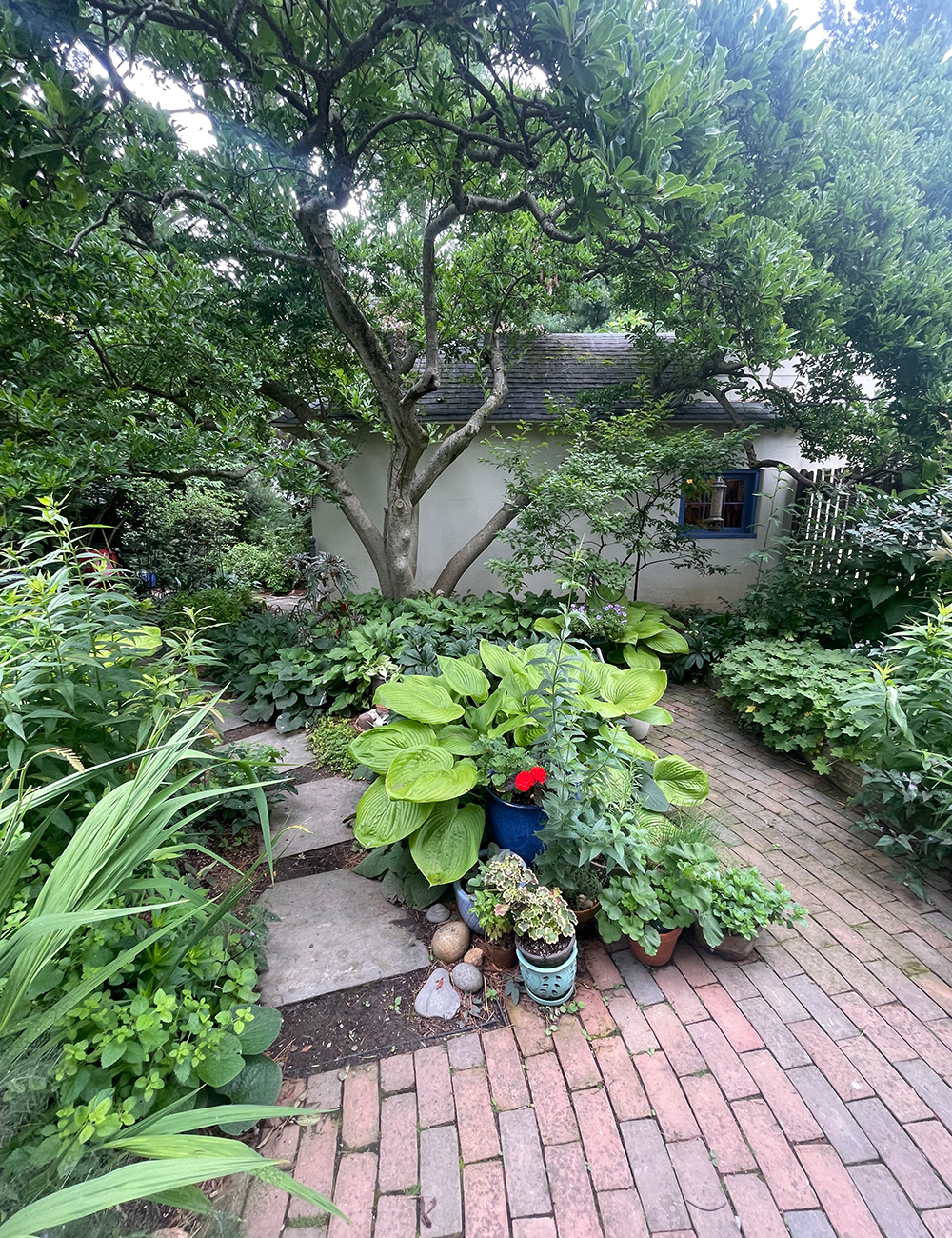paths in a shade garden