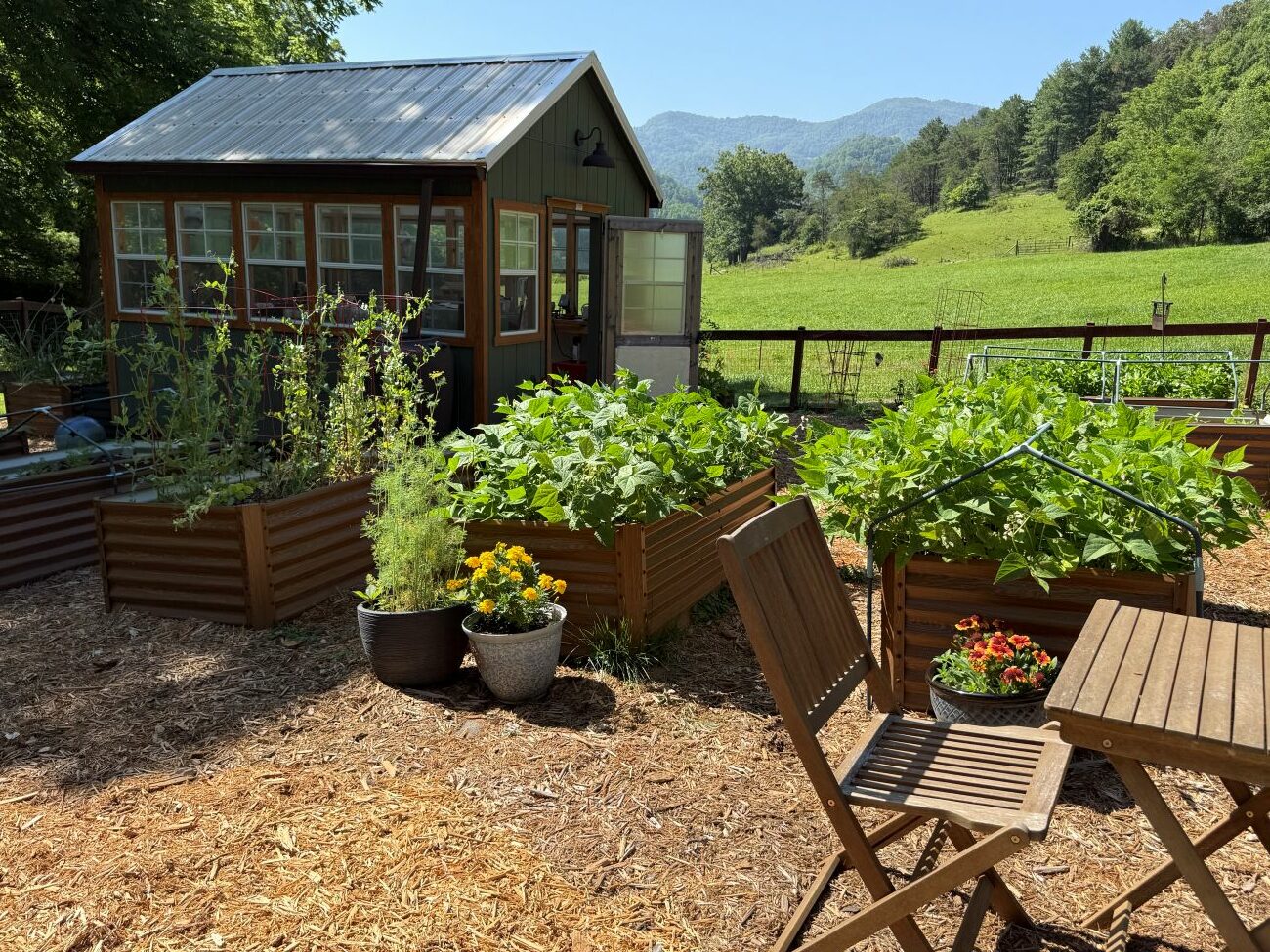 Vegetable garden