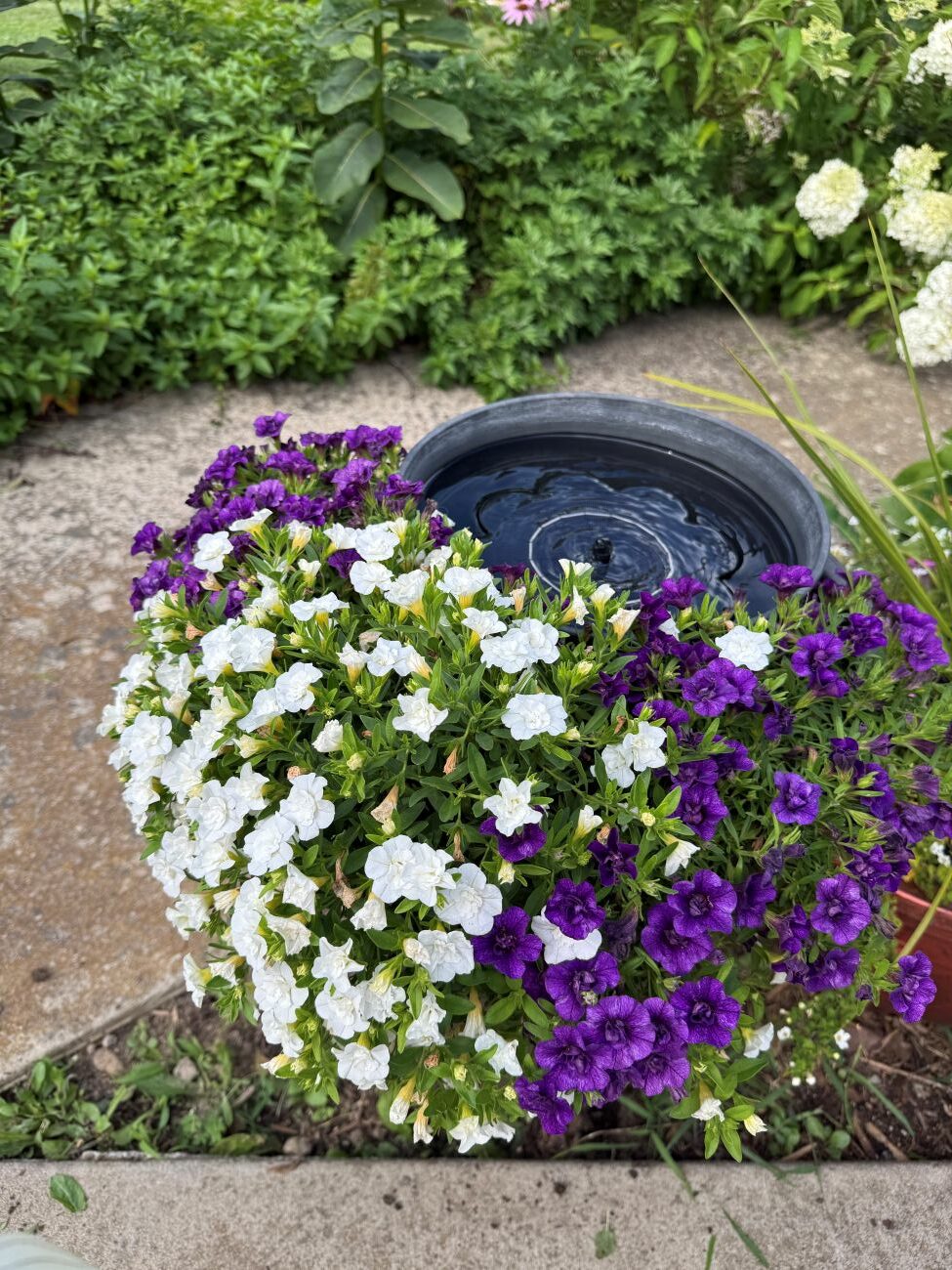 water feature