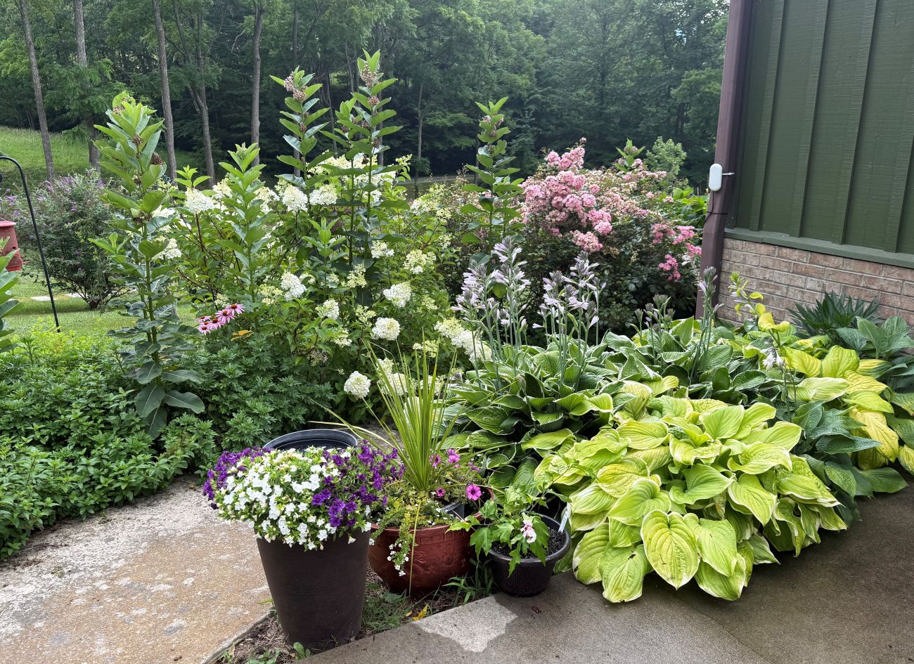Garden path and perennial bed with containers