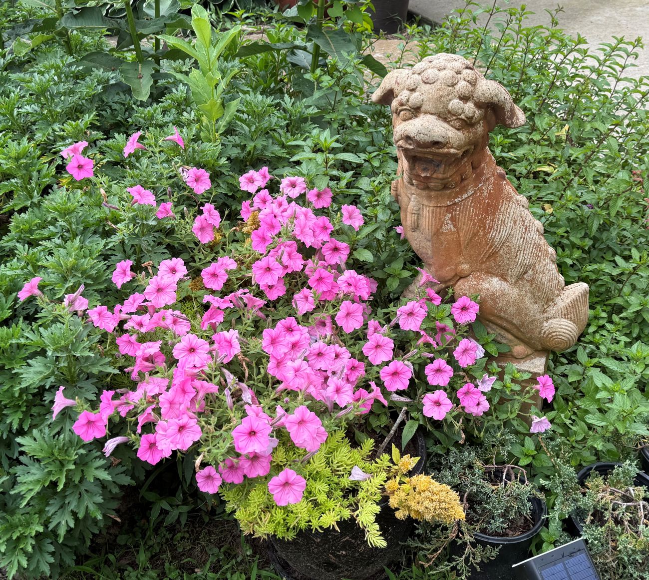 Petunia and garden ornament