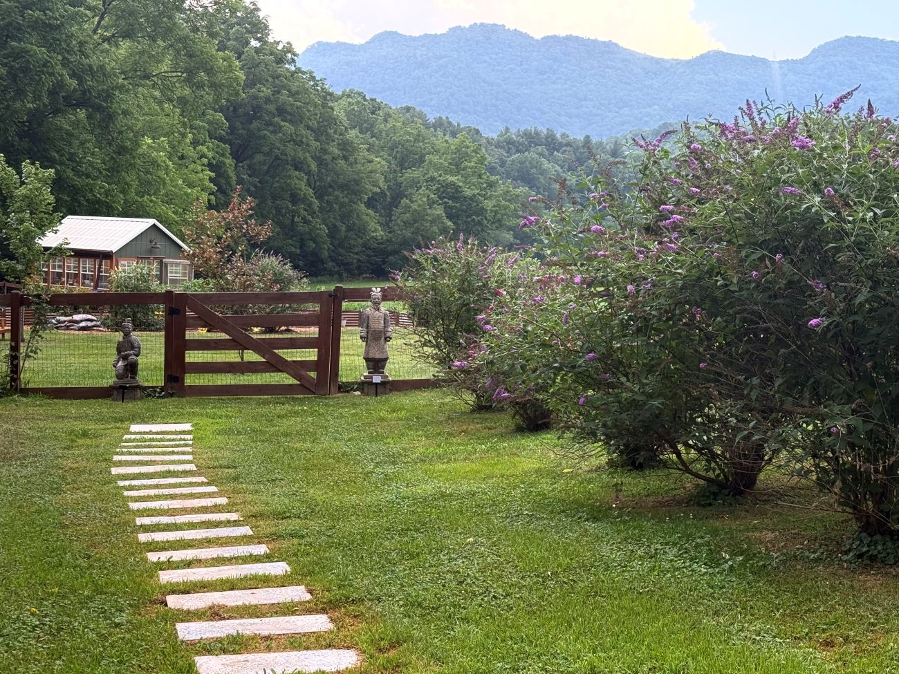 garden path with butterfly bush