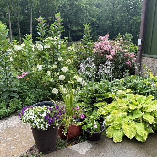Janice’s Zone 7 Mountain Garden – Fine Gardening