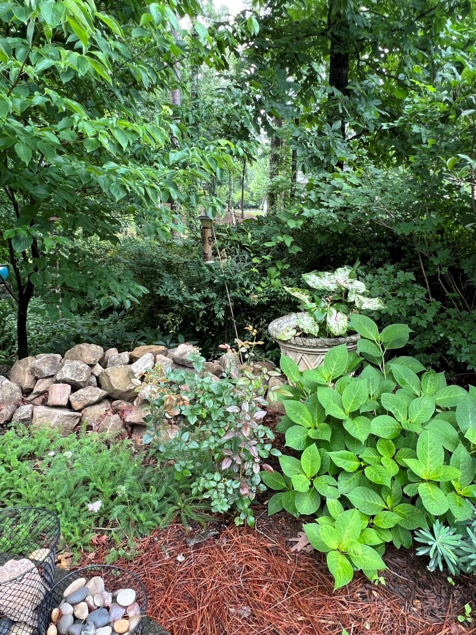 side yard border perennial bed