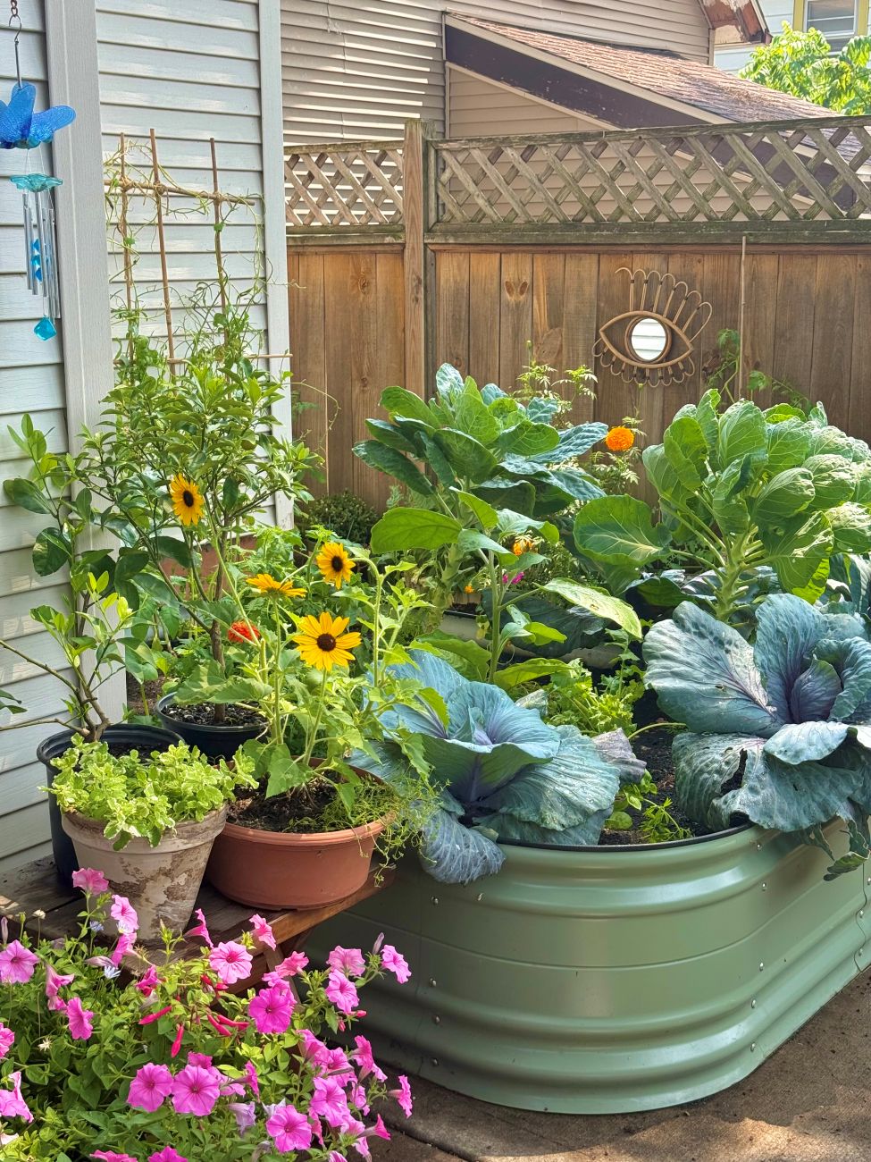 raised garden bed, vegetables, flowers