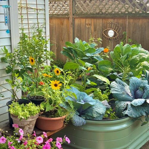 Marisa’s Small-Space Milwaukee Garden - Fine Gardening