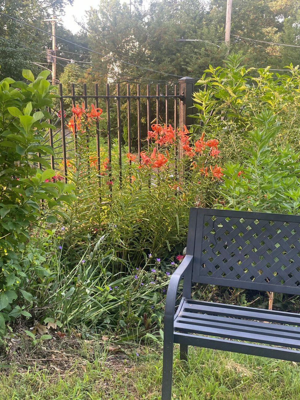 seating area, tiger lily