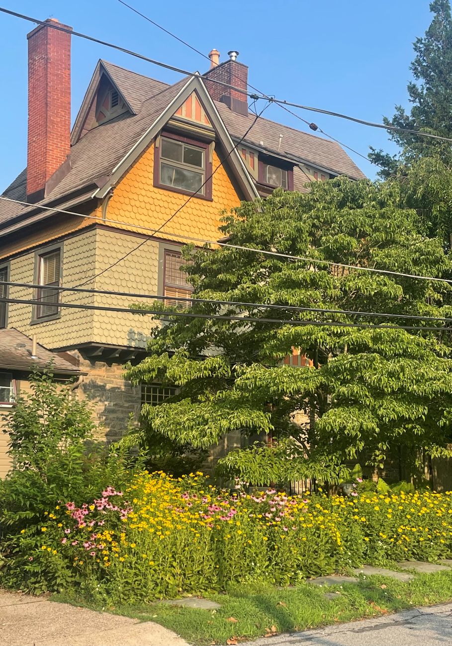 front garden bed