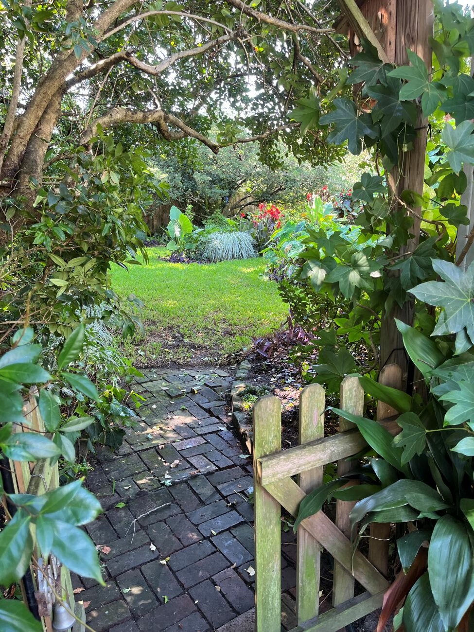 jardín trasero