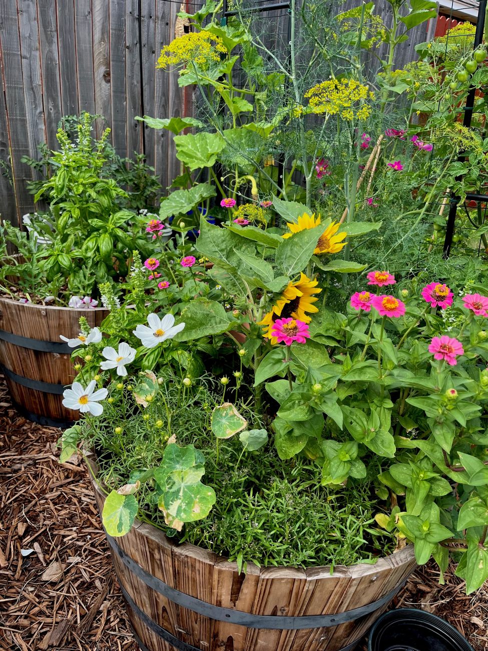 container combination