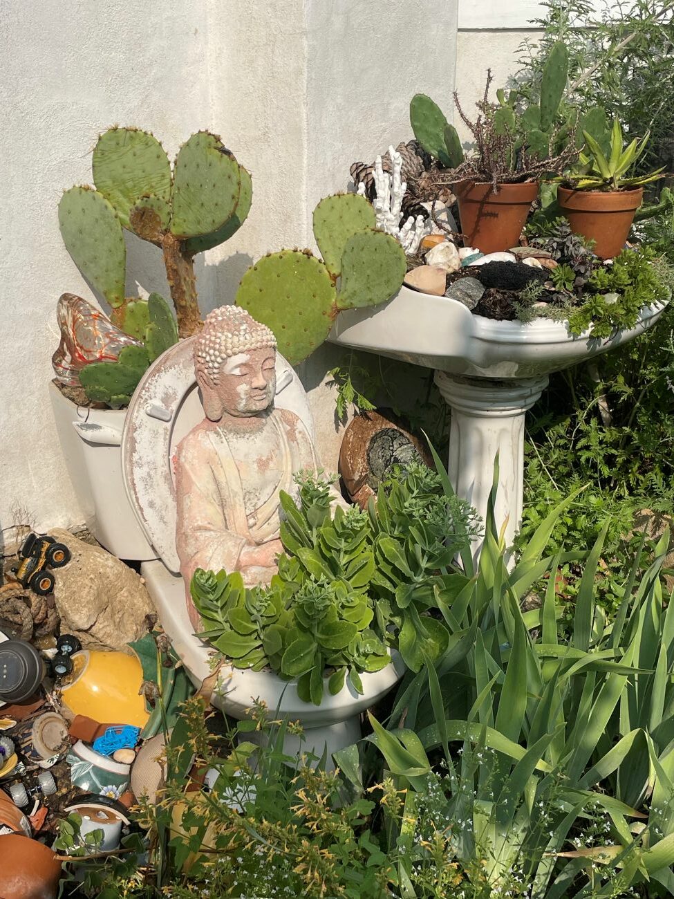 garden ornament, succulents, cacti