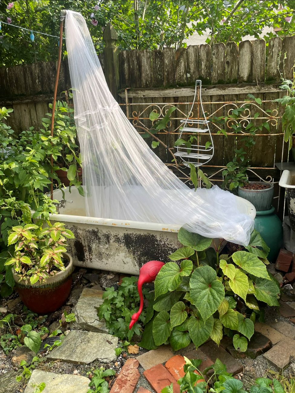 perennial garden, repurposed tub