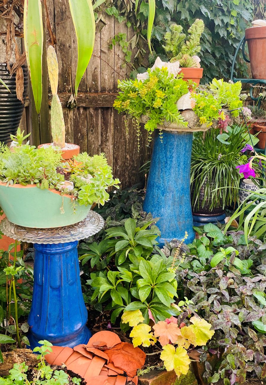 succulent planters