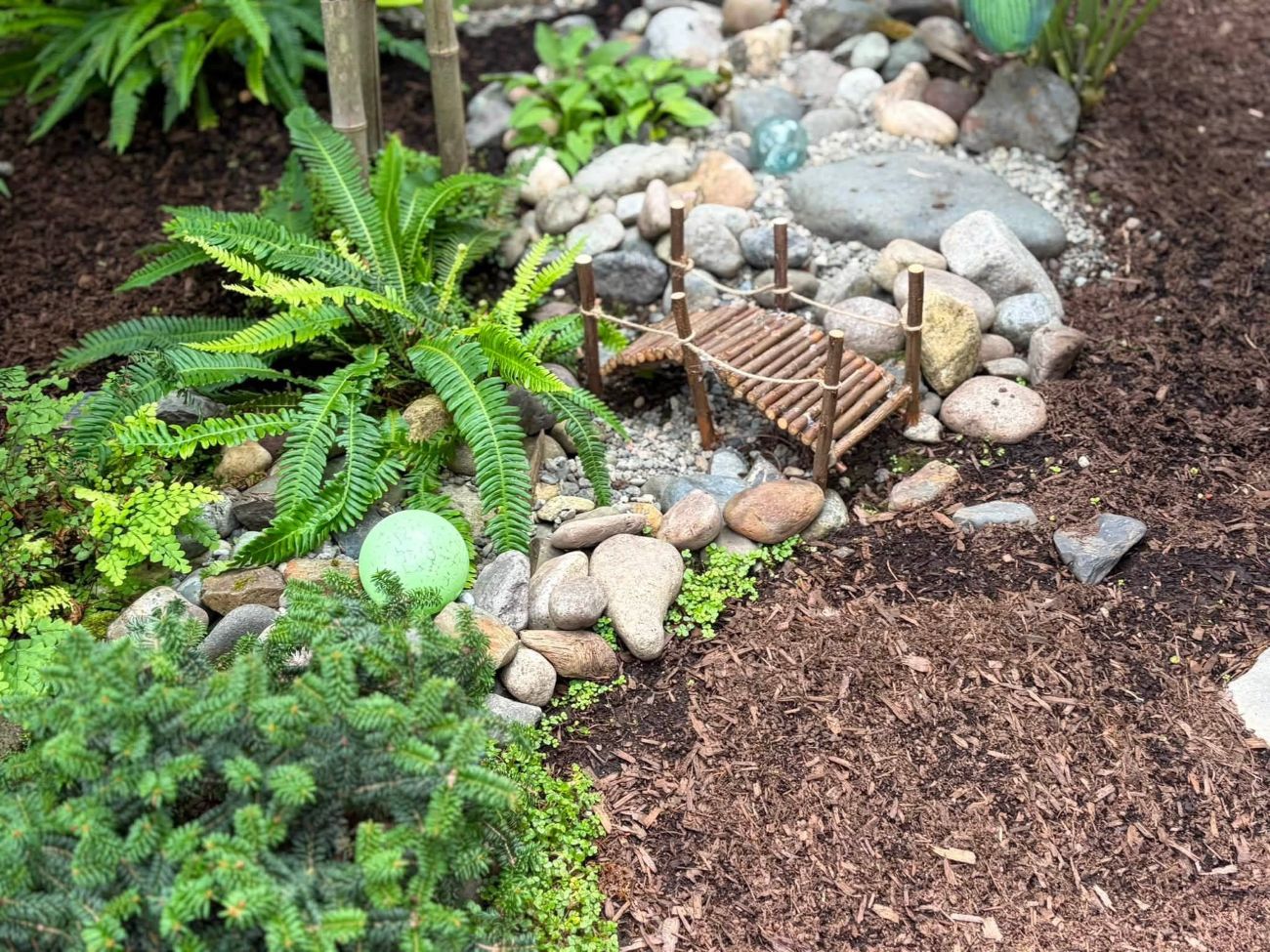 mini Japanese garden, rock garden, fern