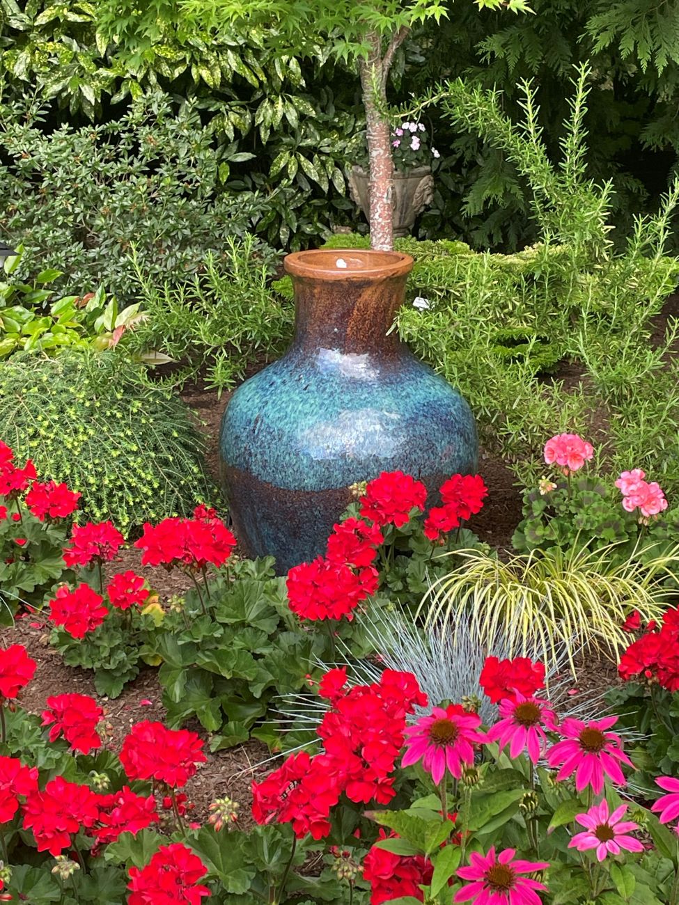 focal point, perennials, coneflowers, blooms