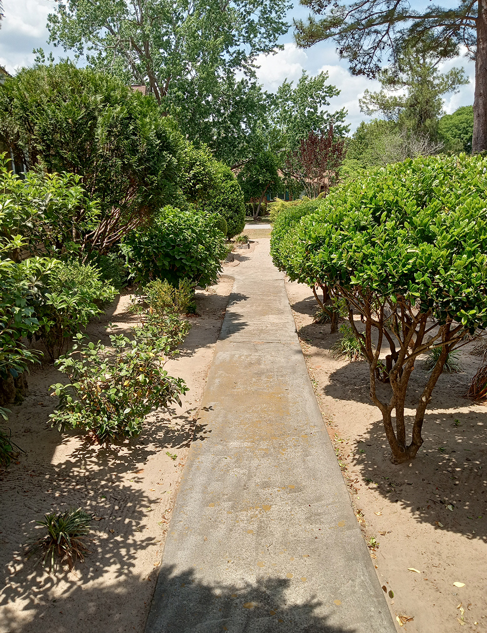 front yard entry walkway