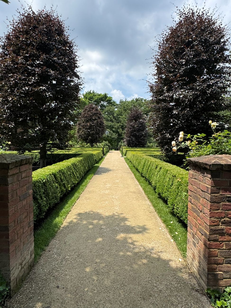 pathway, garden path, hedges