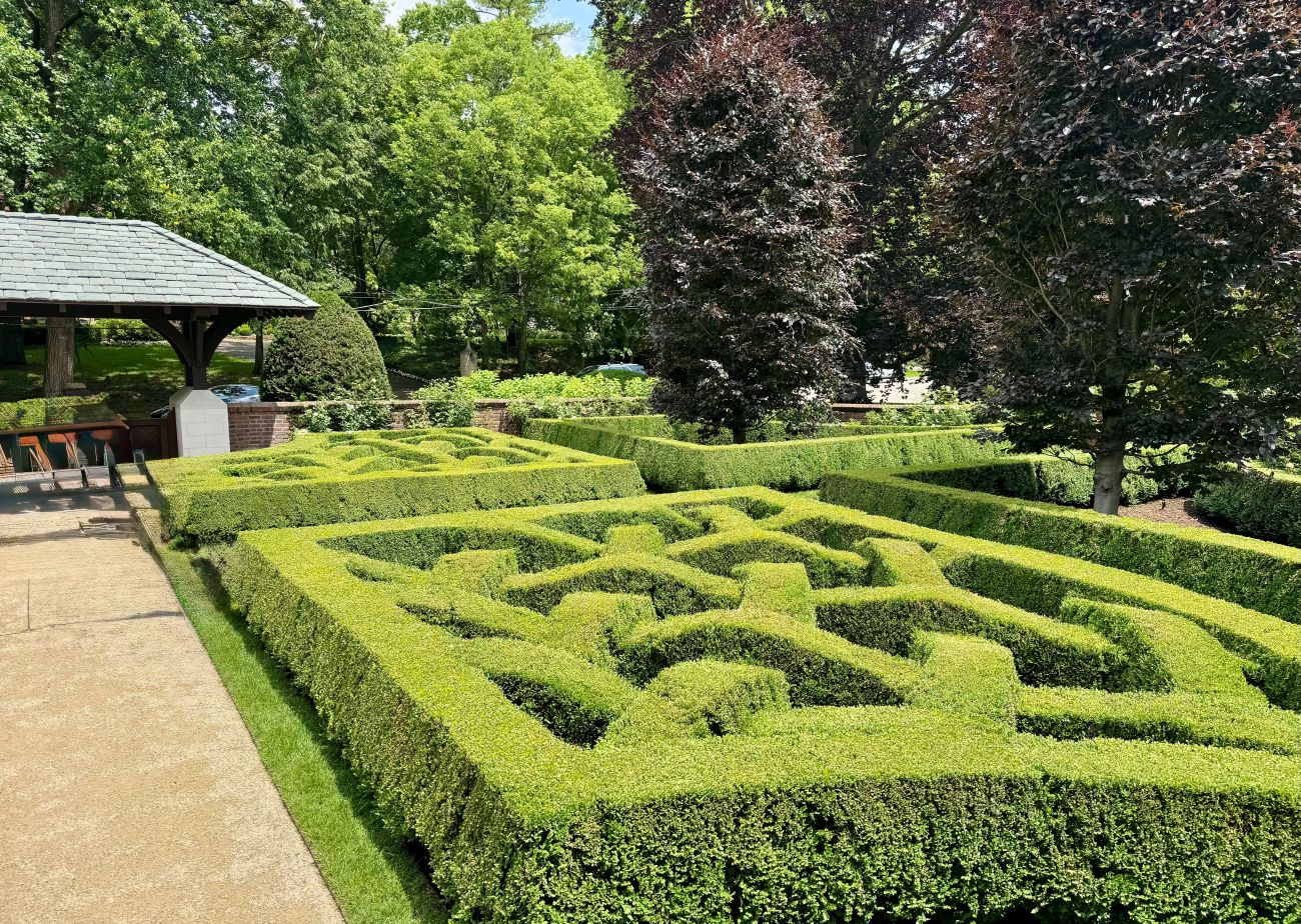 boxwoods, knot garden, topiary, hedges