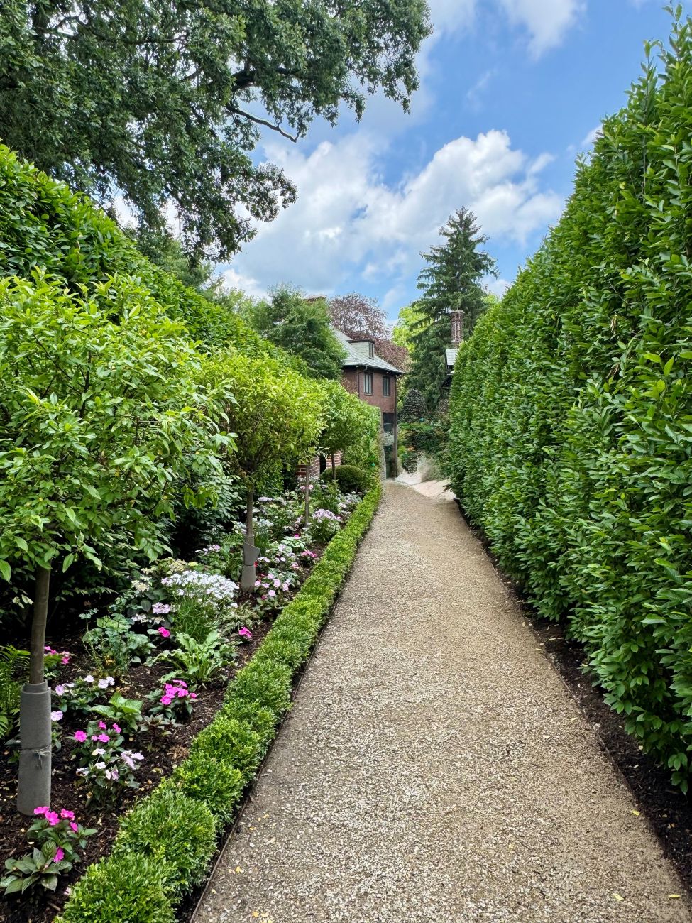 garden path, hedges, topiary, annuals