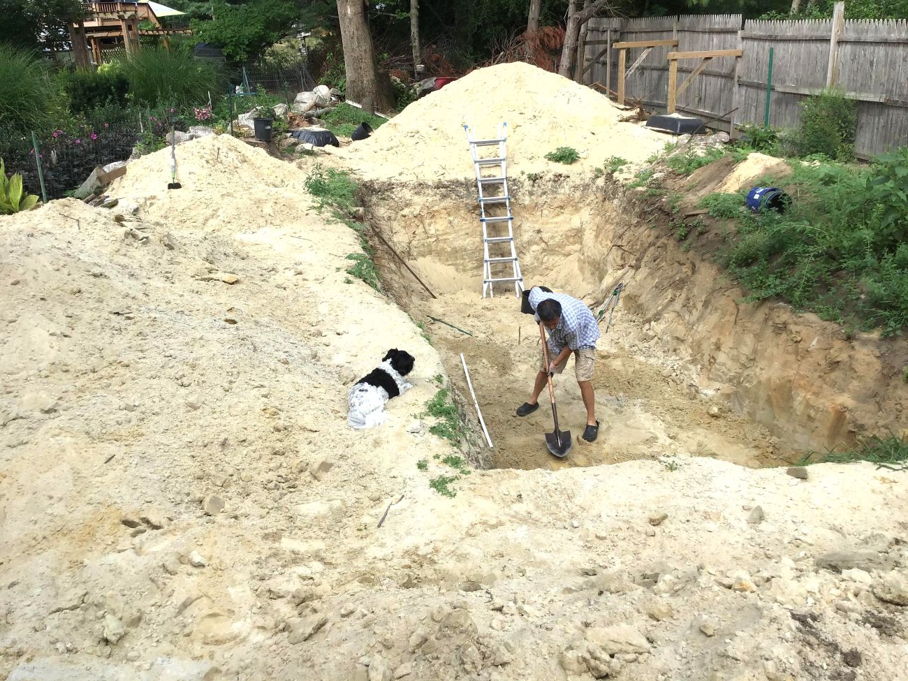 greenhouse construction, backyard garden project