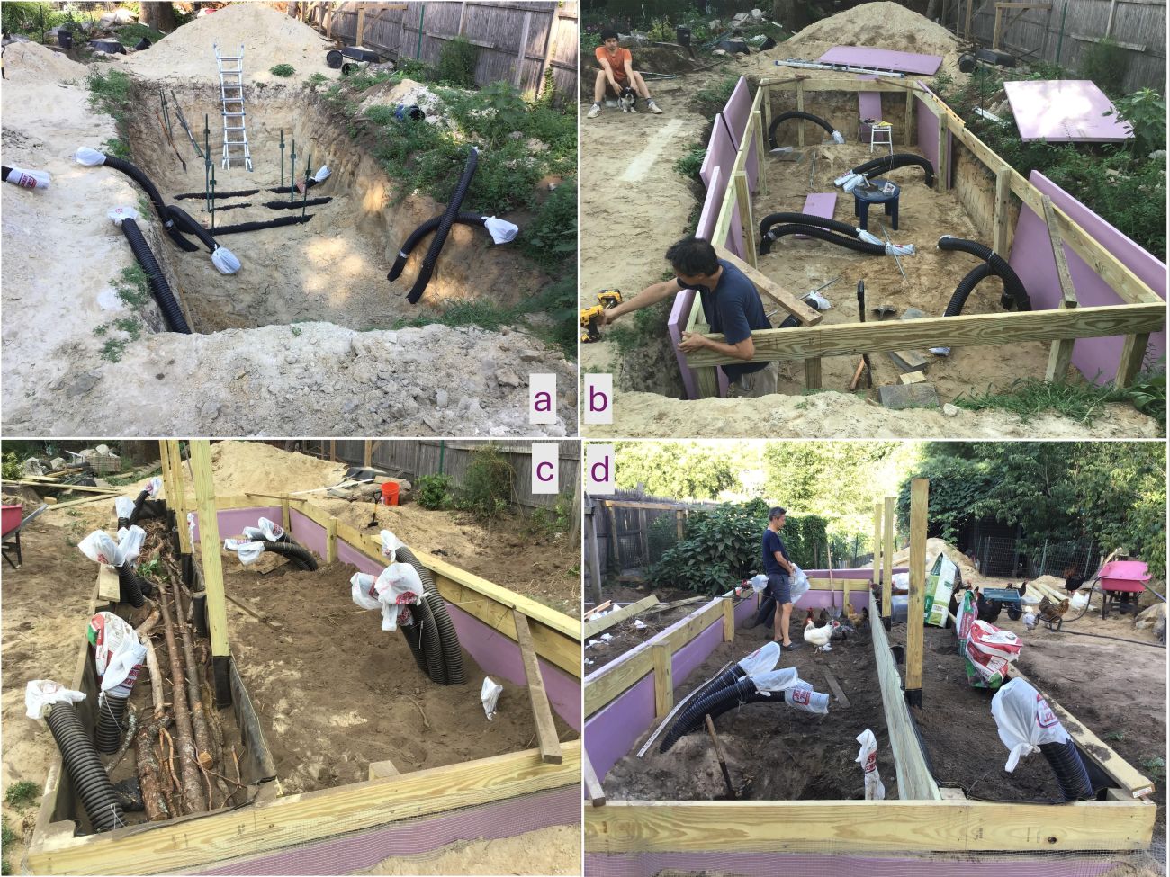 greenhouse project, garden project