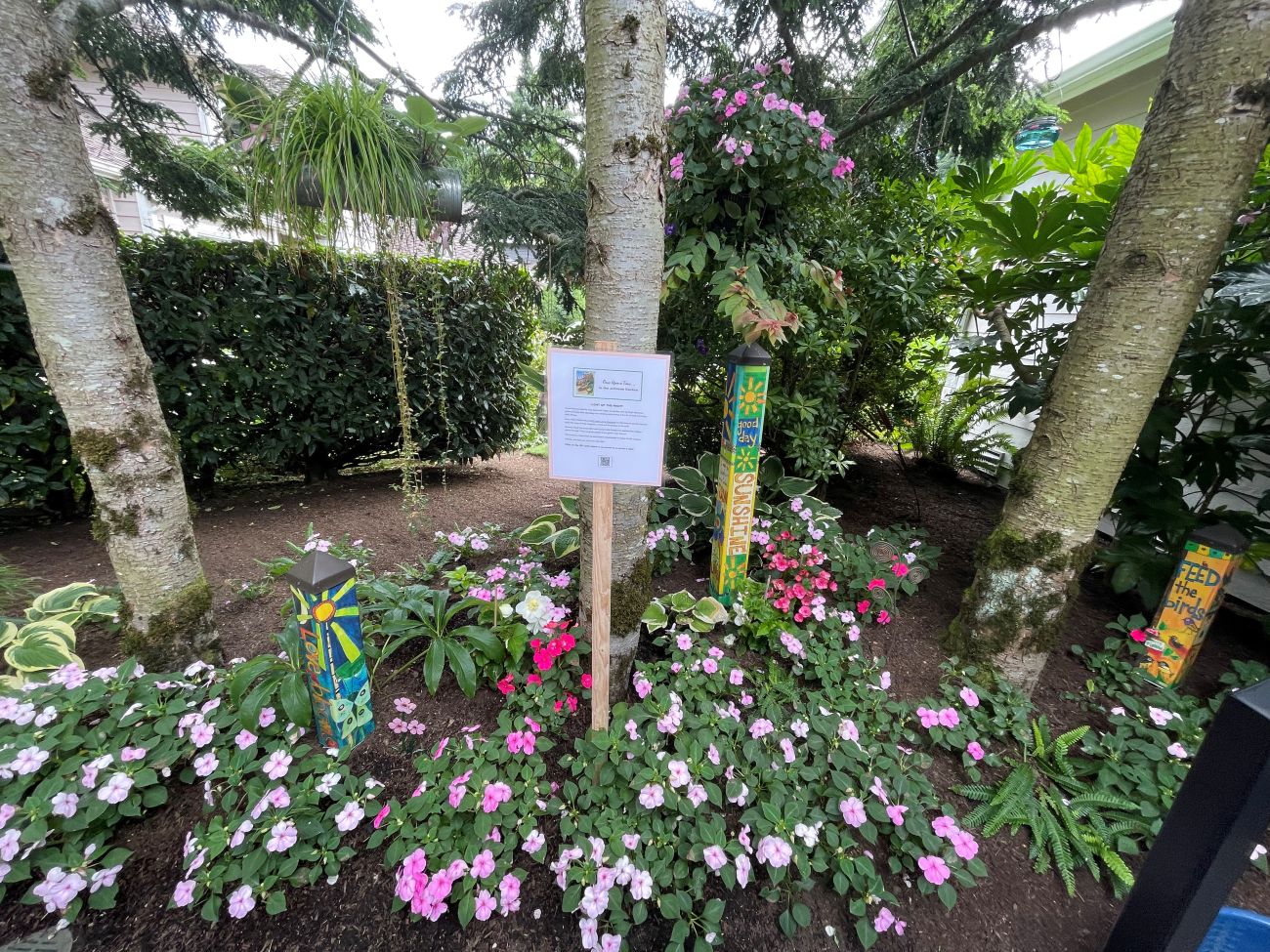 impatiens, shade garden, woodland garden