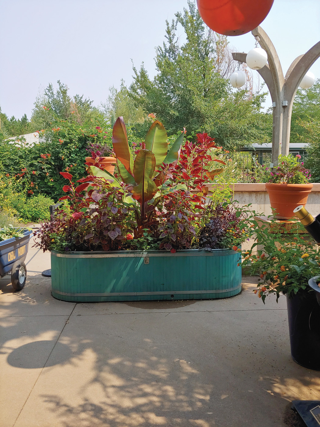 Trough Planter photo by Angie Andrade
