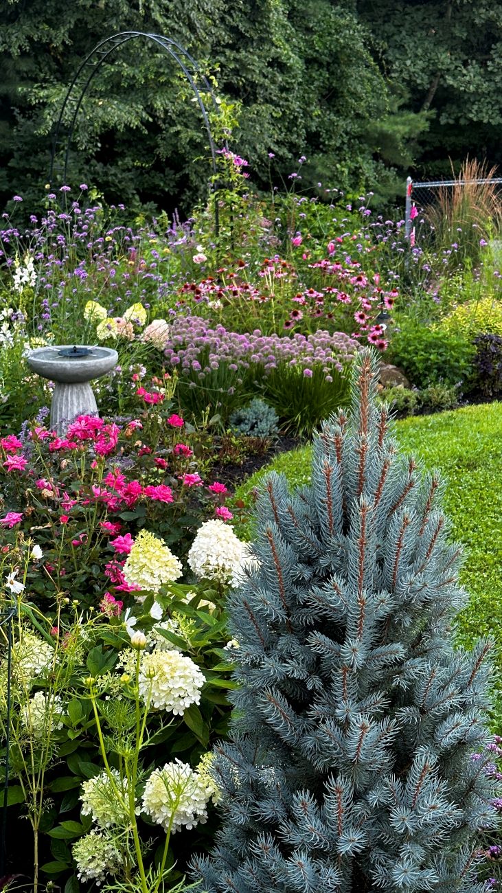 backyard border, garden border, perennial border