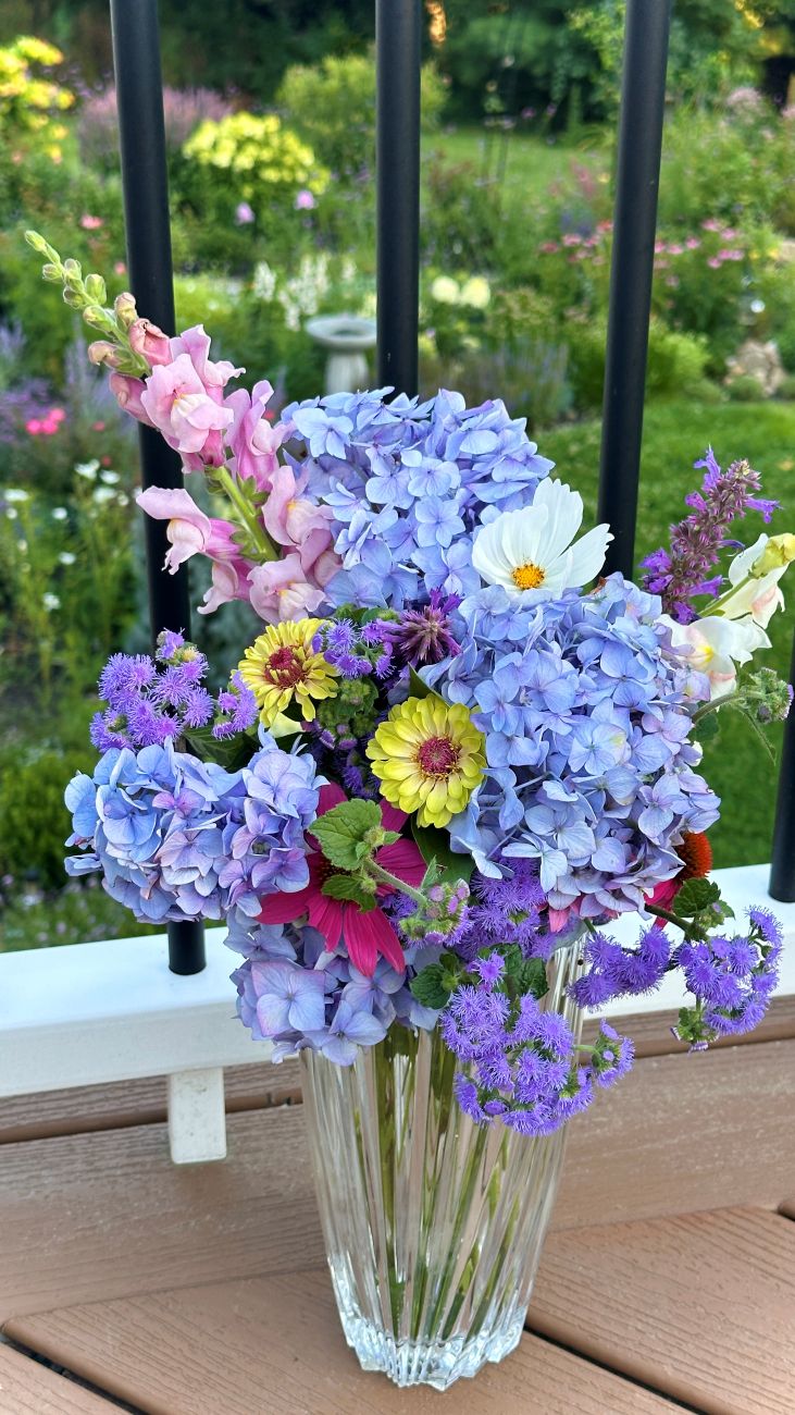 cut flowers, cut flower garden, cut flower arrangements,