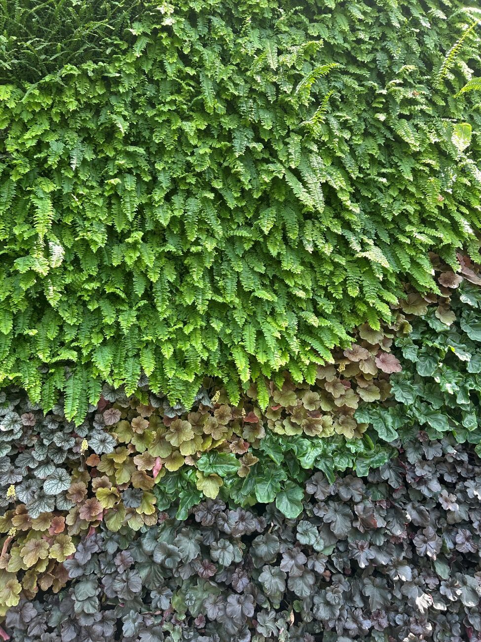 living wall