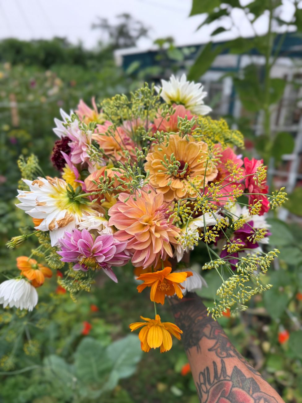 cut flowers