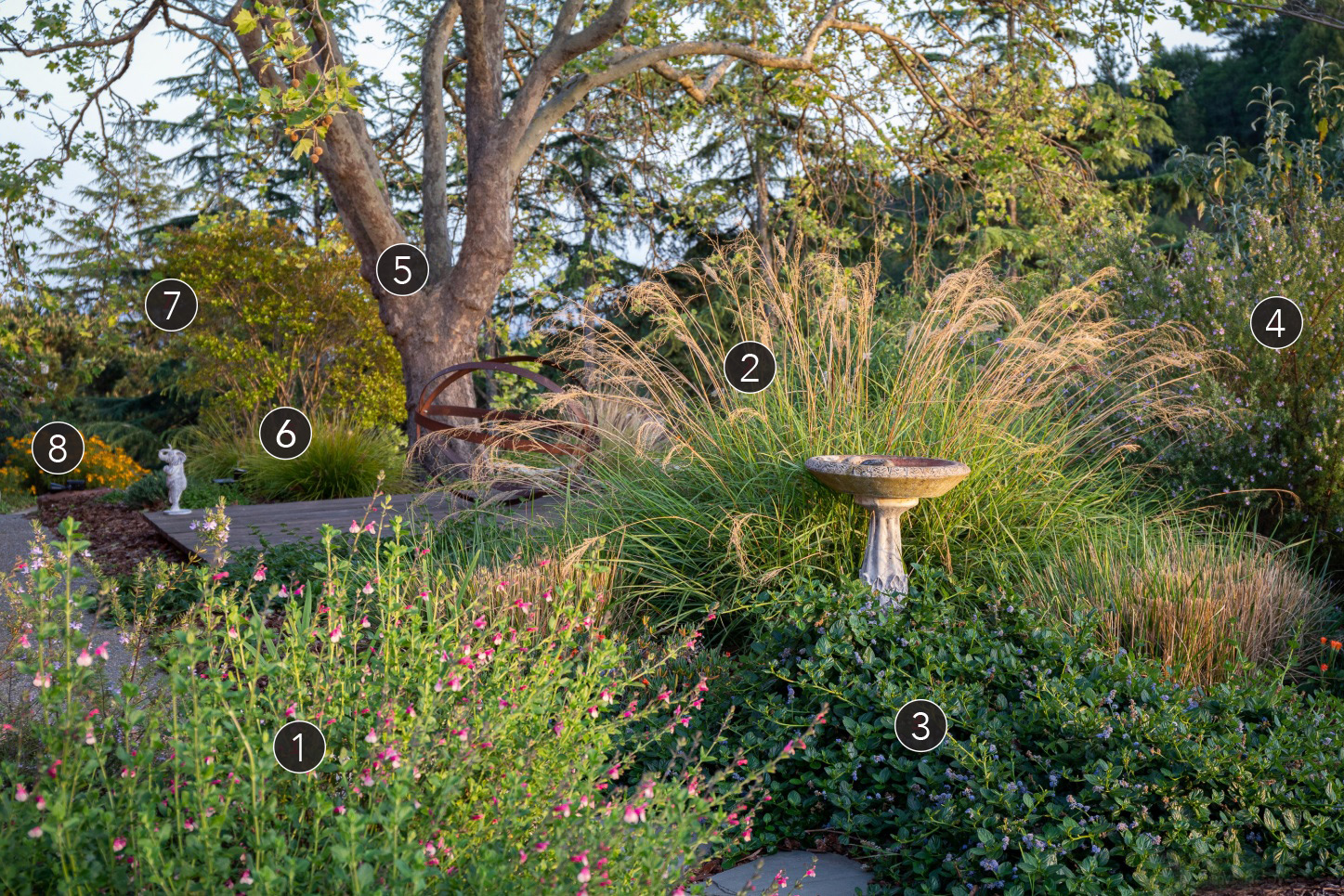 Pathway with grasses labelled