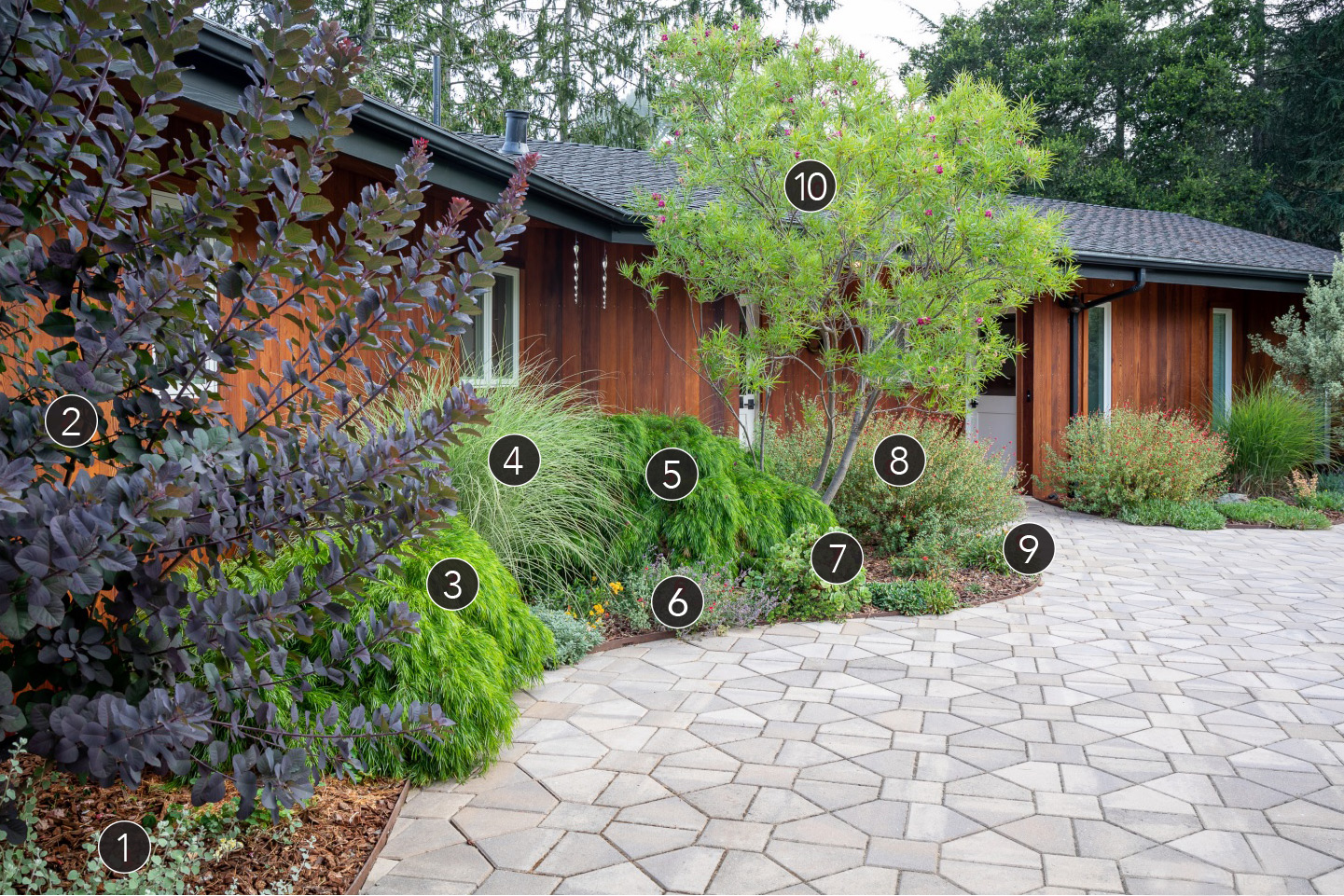 Entry Garden labelled