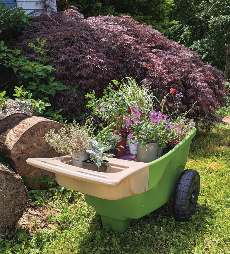 Easy Haul Wheelbarrow by Simplay3