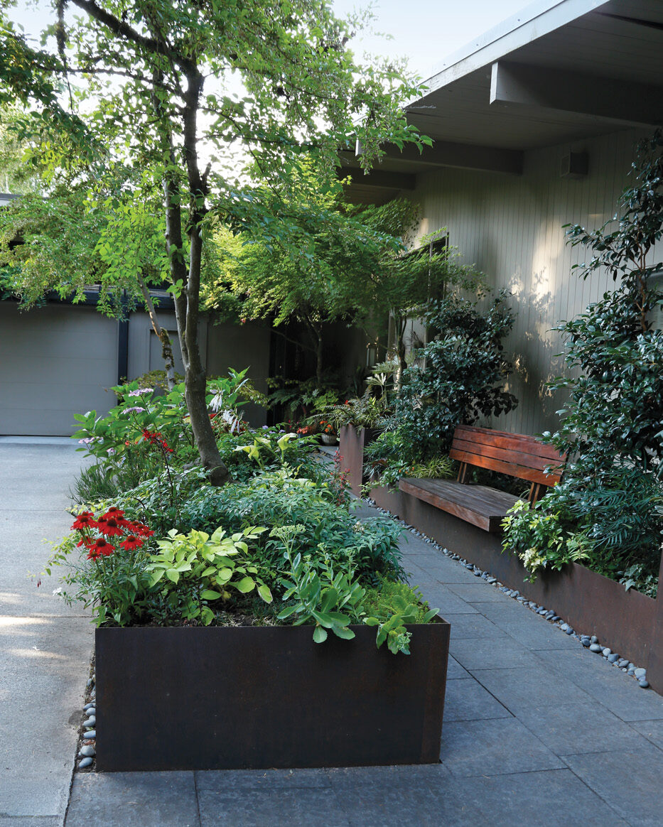 Parsons entry side After photo by Carol Collins