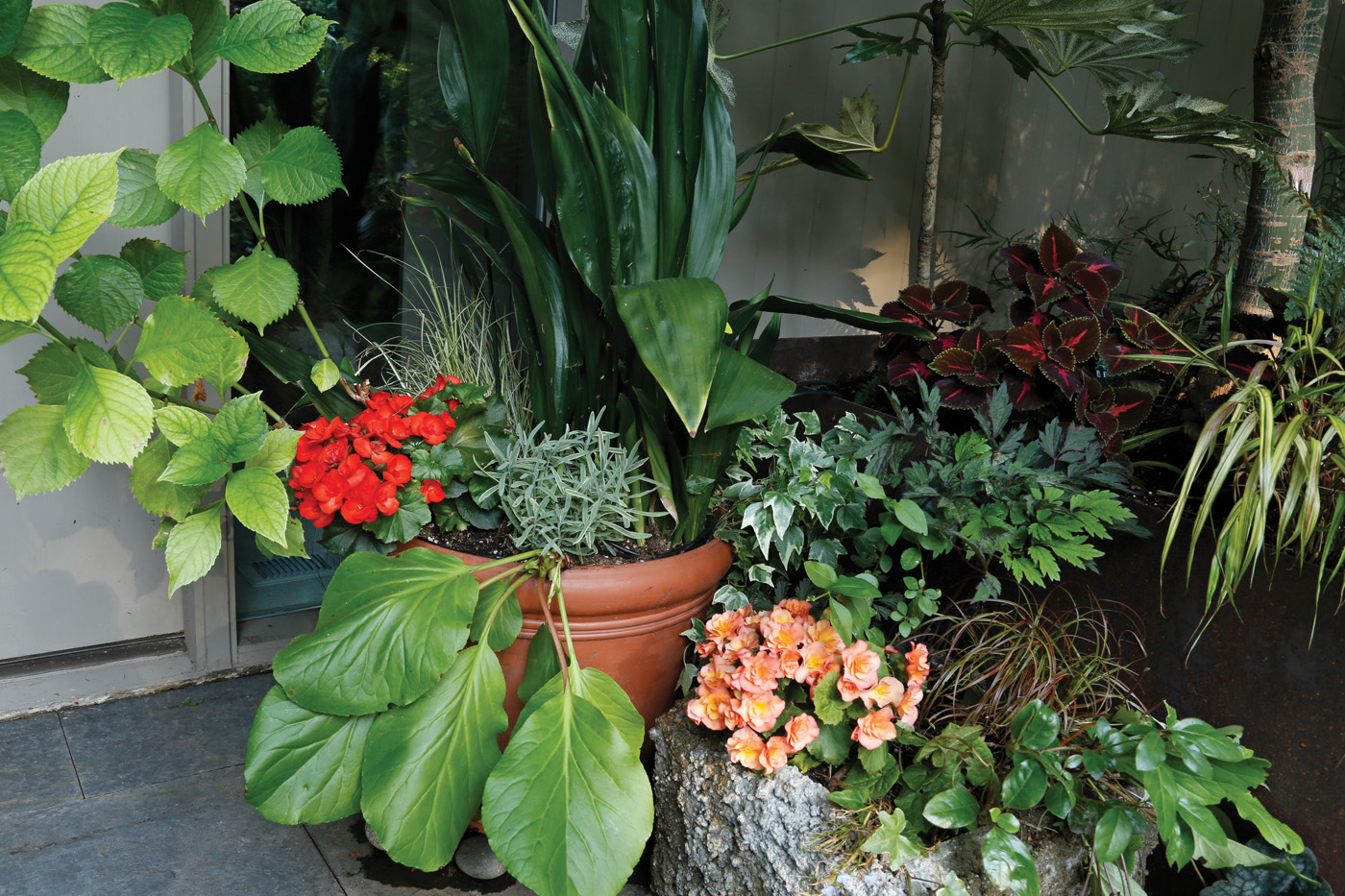 Parsons containers at front door photo by Carol Collins
