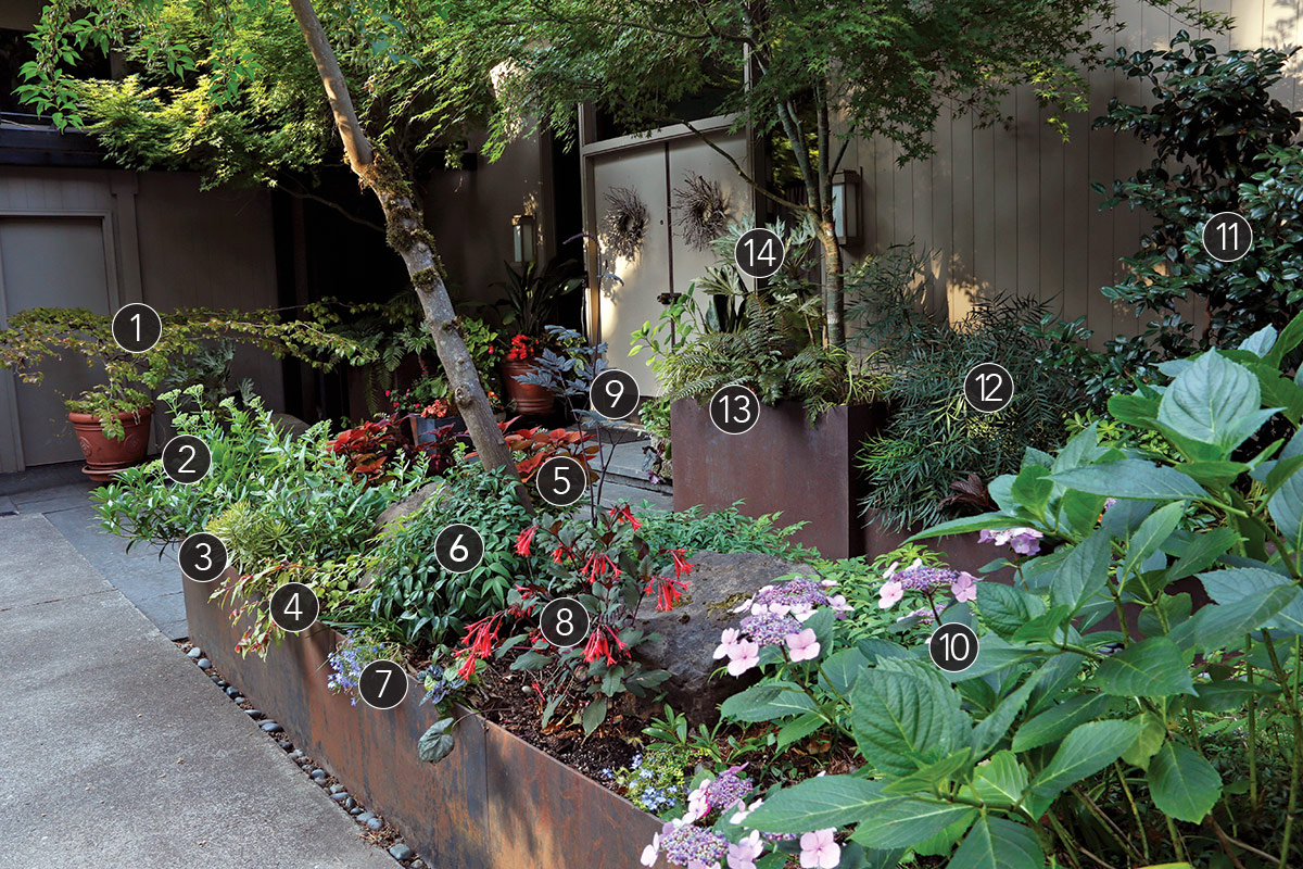 Robin Parsons front entry design